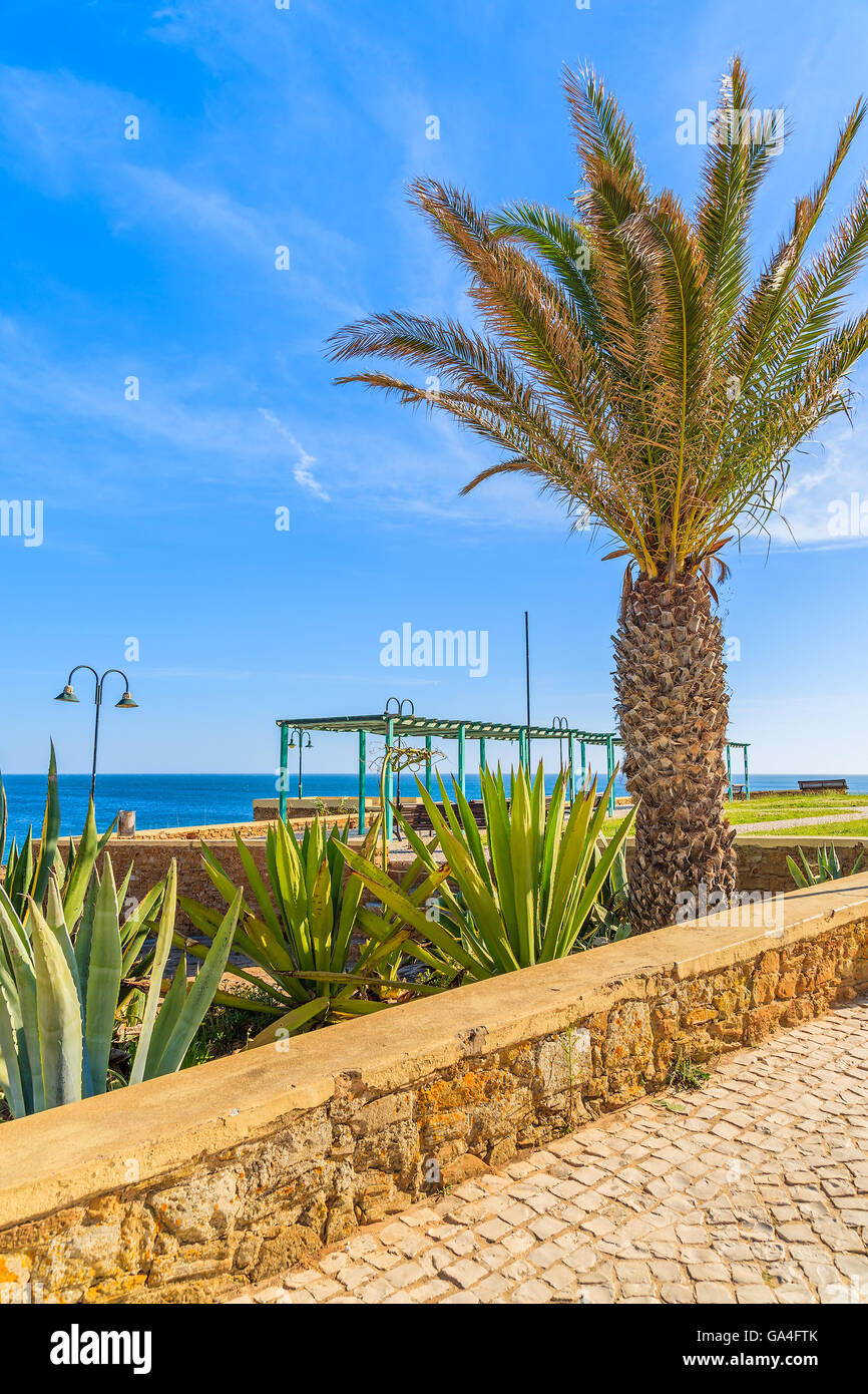 Palm-Baum und tropischen Pflanzen auf Küstenpromenade in Luz Stadt, die Region Algarve, Portugal Stockfoto