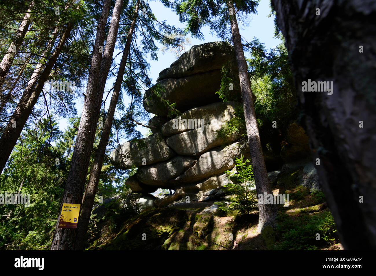 Rappottenstein Granit rock Formation "Gletscher Mühle" und Fichte Österreich Niederösterreich, untere Österreich Waldviertel Stockfoto