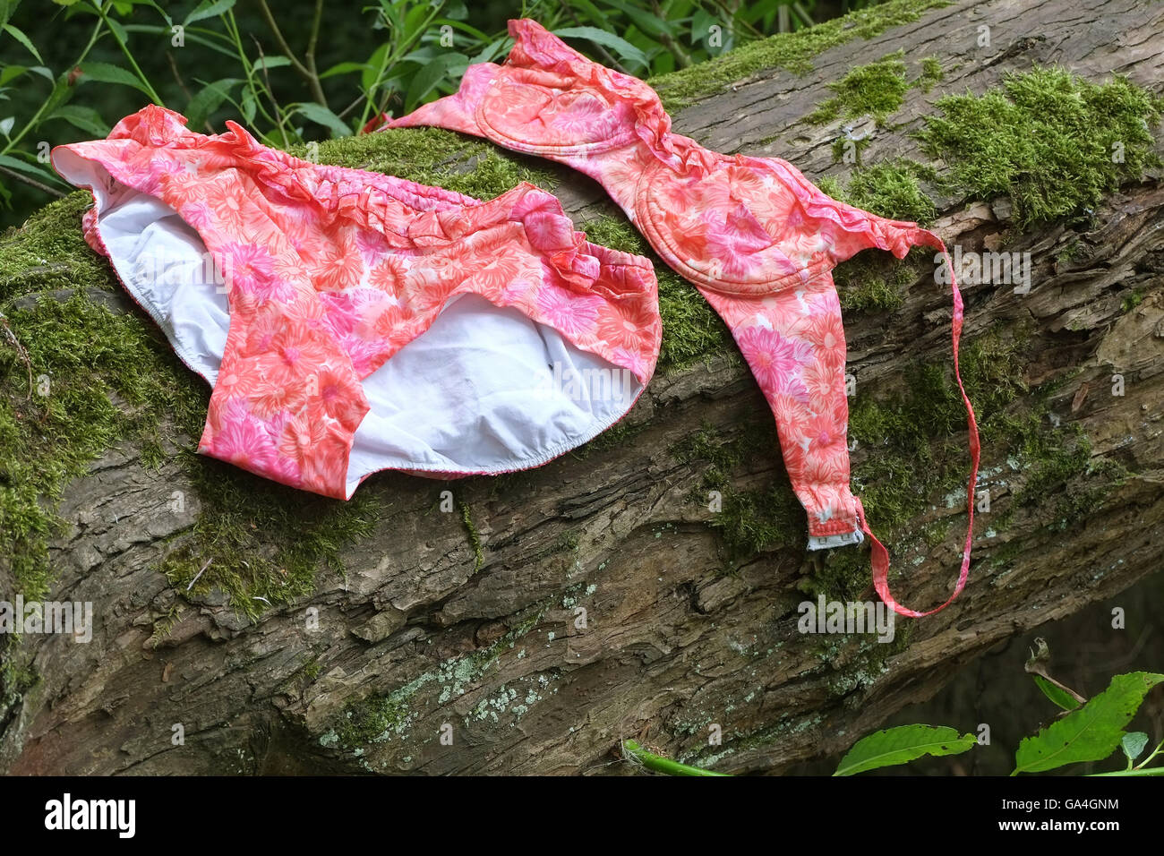Einem nassen rosa und orange Bikini aus den 1960er Jahren an einem Baum nach dem Baden in einem Fluss zu trocknen. Stockfoto