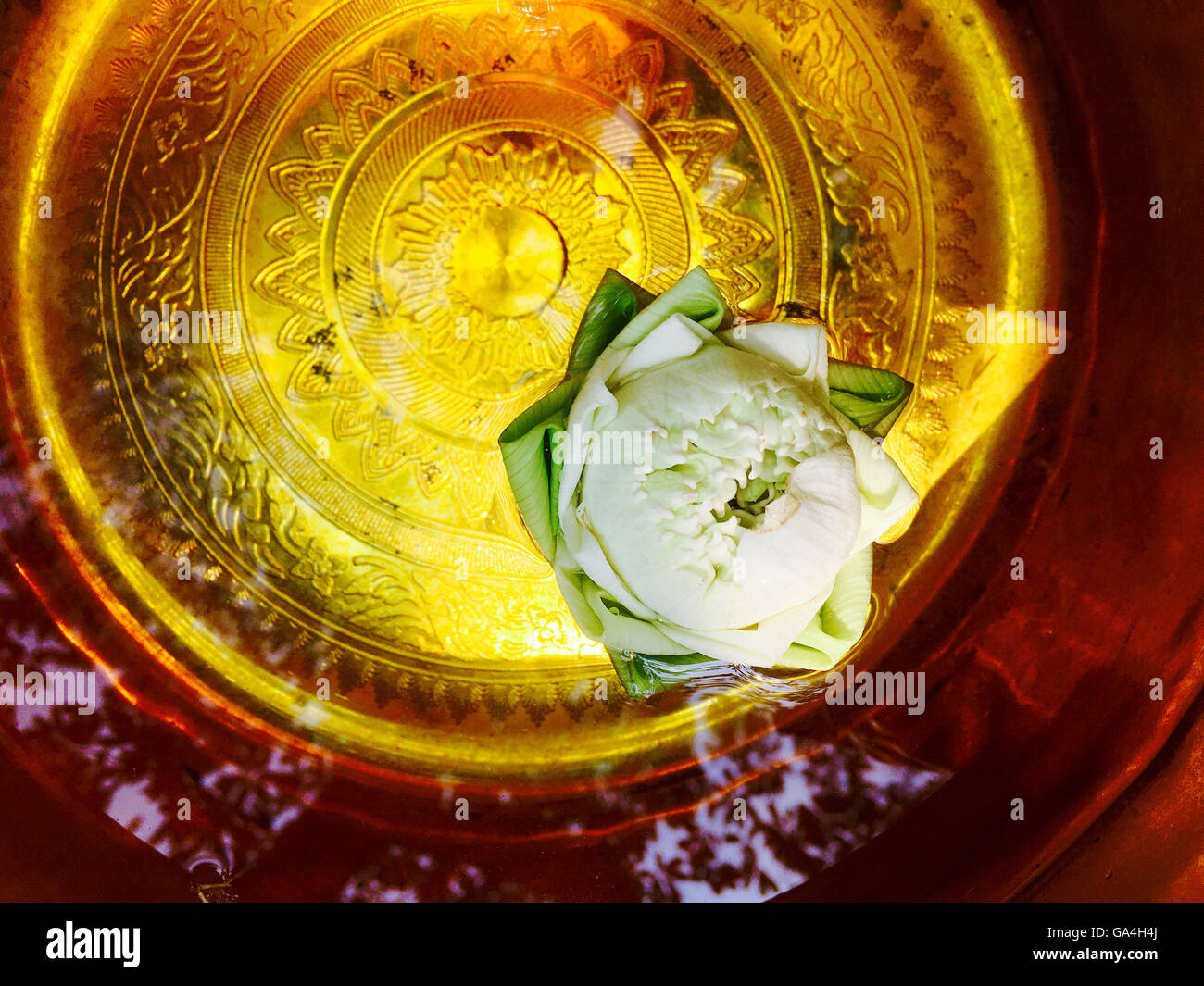 weißer Lotus schwimmt auf Wasser in goldene Schale Stockfoto