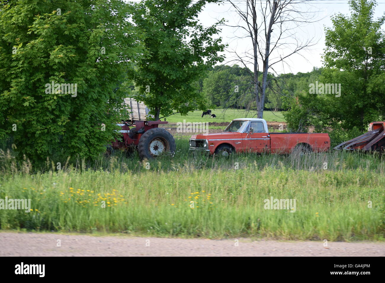 Landmaschinen und einem alten Chevy LKW in einem Feld mit einer Kuh im Hintergrund Stockfoto