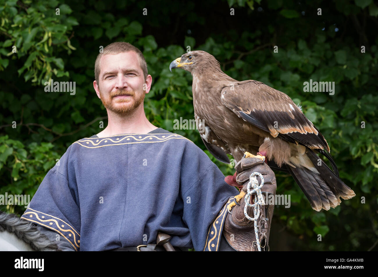 Mann gekleidet in mittelalterlichen Kleidern und mit einem Falken auf dem Arm, Esrum, Dänemark Stockfoto