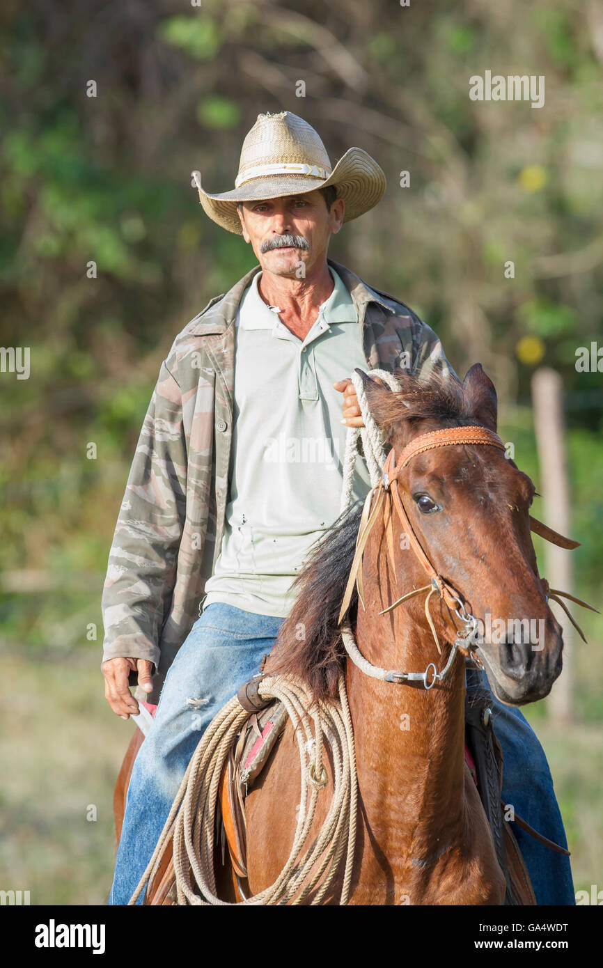 Cowboy zu Pferd unterwegs in der Nähe von Hacienda La Belen, einer bewirtschafteten Ranch und beliebte Vogelbeobachtung Bereich in Kuba Stockfoto