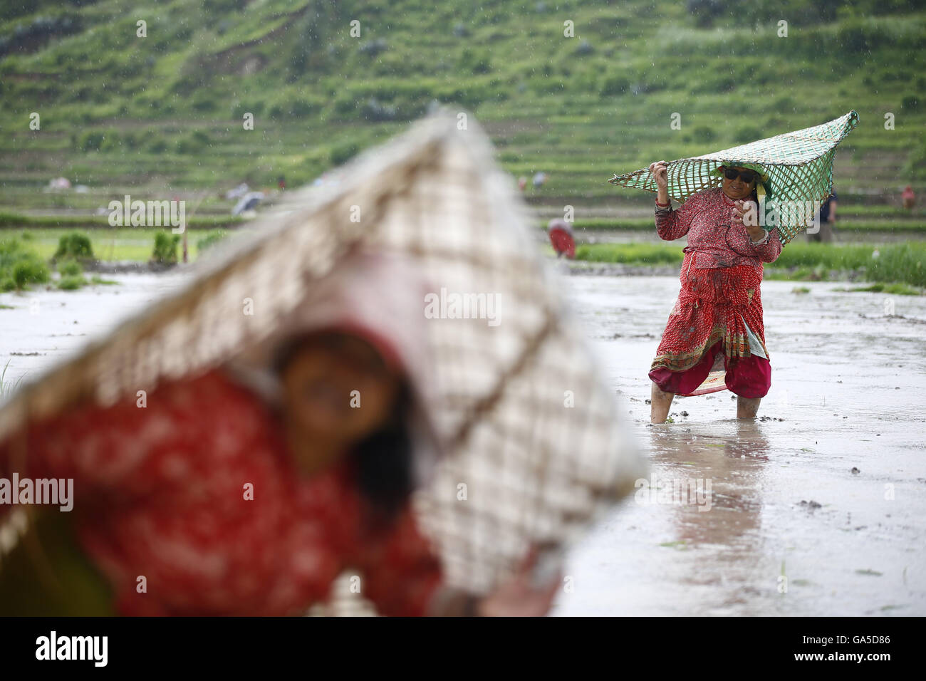 Lalitpur, Nepal. 3. Juli 2016. Nepalesische Bauern reagieren beim Pflanzen Reis Setzlinge in ein Reisfeld auf Monsun-Saison in der Nähe des Dorfes Khokana in Lalitpur, Nepal auf Sonntag, 3. Juli 2016. © Skanda Gautam/ZUMA Draht/Alamy Live-Nachrichten Stockfoto