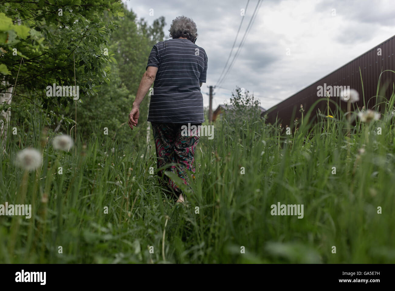 Tula, Russland. 28. Mai 2016. Larisa geht auf einem schmalen Pfad zwischen Datschen in der Umgebung von Tula, Russland, am 28. Mai 2016. Datscha ist eine traditionelle russische Landhaus mit einem Garten für den Sommer. Datschen verwendet, um einen Ort zu vereinen, Familien und Kollegen, die das Land gegeben wurden. Heute sie ändern sind---neue Käufer kommen und Datschen eine Villa, Rest von lauten Zersiedelung und Nachbarn zu nehmen. © Evgeny Sinitsyn/Xinhua/Alamy Live-Nachrichten Stockfoto