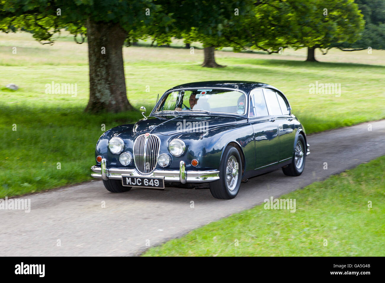 1963 Jaguar mk Ii bei Leighton Hall Classic Car Rally, Carnforth, Lancashire, UK. 3. Juli 2016.  Die jährliche Oldtimer-Rallye findet statt in der herrlichen Leighton Hall in Carnforth in Lancashire.  Britische Sportwagen-Klassiker von MG bis hin zu amerikanischen Muscle Cars wie der Dodge Viper & Ford Mustangs.  Die Zuschauer Veranstaltung lockte tausende von Besuchern zu diesem malerischen Teil des Landes auf der Nord-West-Küste Englands.  Bildnachweis: Cernan Elias/Alamy Live-Nachrichten Stockfoto
