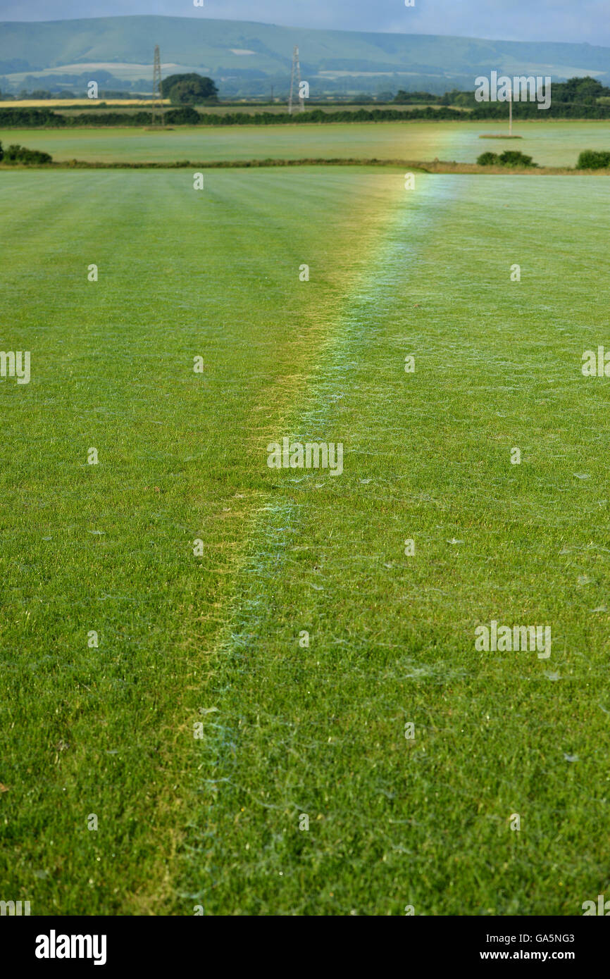 Sussex, UK. 4. Juli 2016. Tau überdachte Spinnweben auf einem Rasen-Feld in Reife, East Sussex, brechen das Licht des frühen Morgens eine ungewöhnliche invertierten Regenbogen zu schaffen. Bildnachweis: Peter Cripps/Alamy Live-Nachrichten Stockfoto