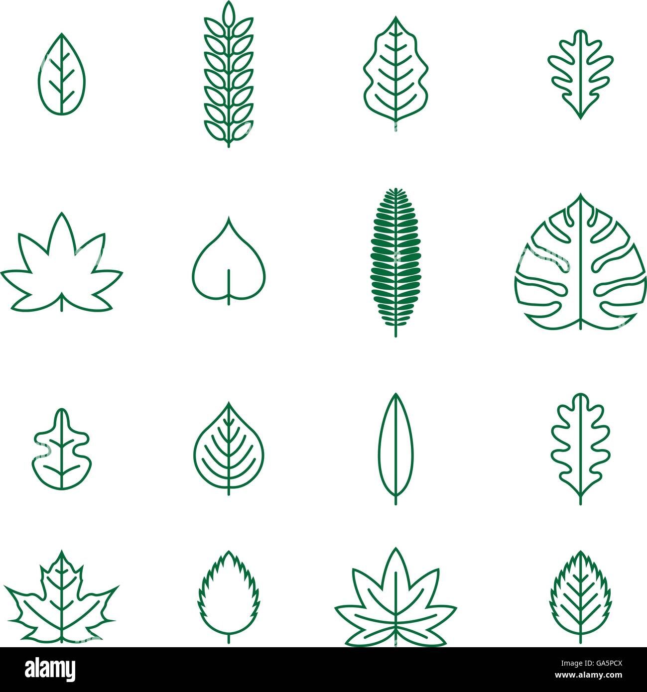 Vektor-verschiedene Linie Leaf Icon-Sammlung. Stock Vektor