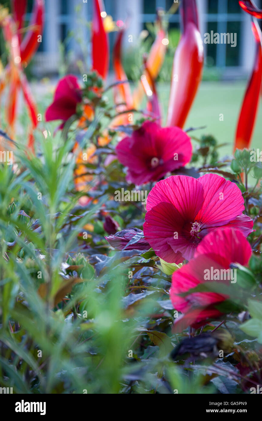 Bunte Blumen und Glas Skulptur auf dem Display im Atlanta Botanical Garden in Atlanta, Georgia, USA. Stockfoto