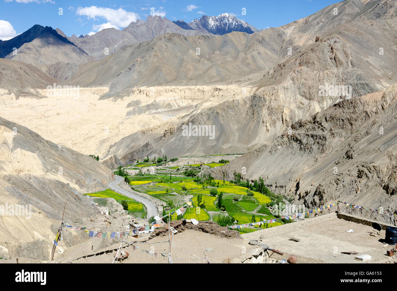 Felder im Tal in der Nähe von Dorf, Gästehaus, in der Nähe von Leh, Leh, Srinagar Straße, Ladakh, Jammu und Kaschmir, Indien. Stockfoto