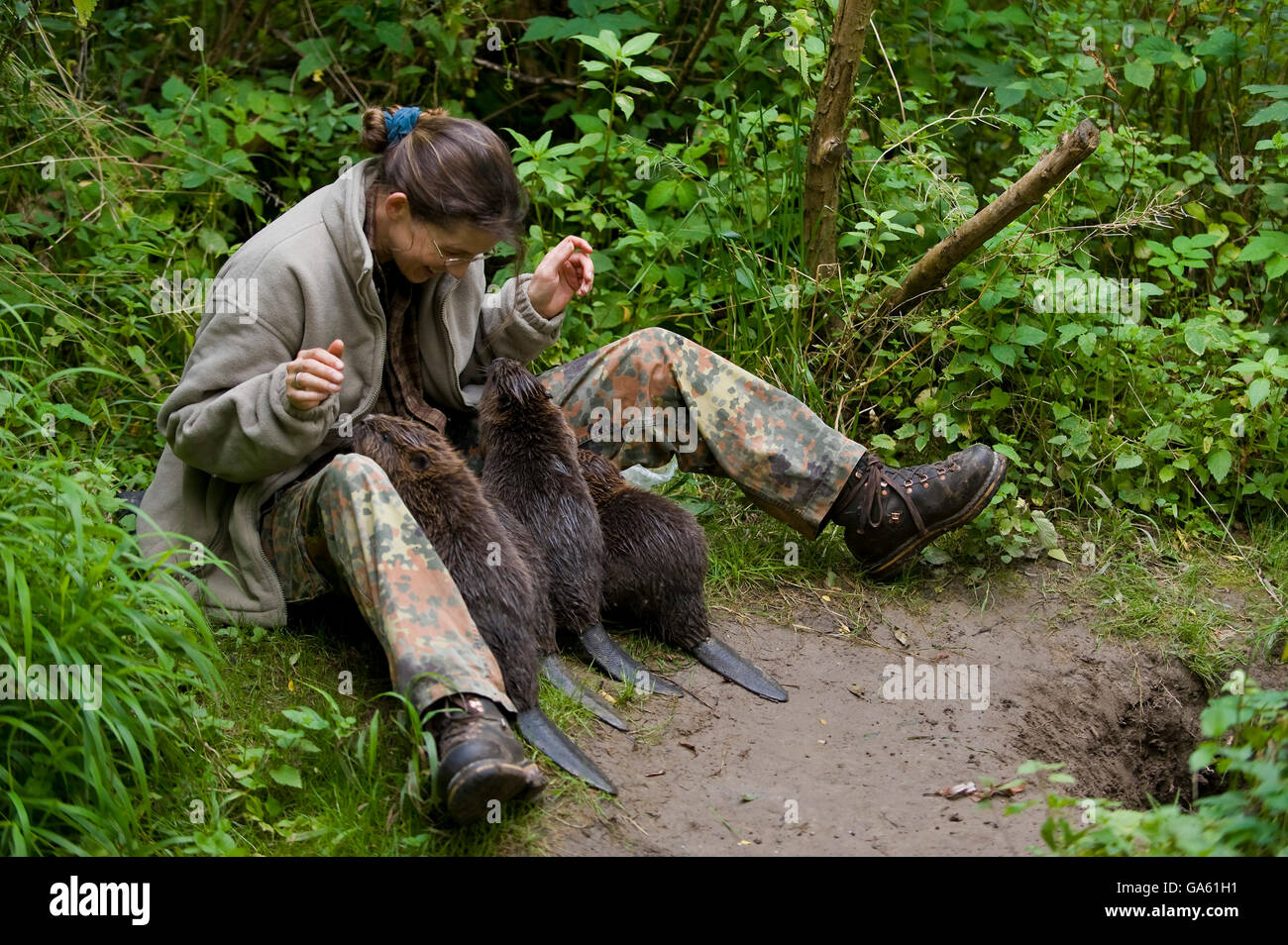 Frau AndEuropean Biber, Rosenheim, Bayern, Deutschland, Europa / (Castor Fiber) Stockfoto