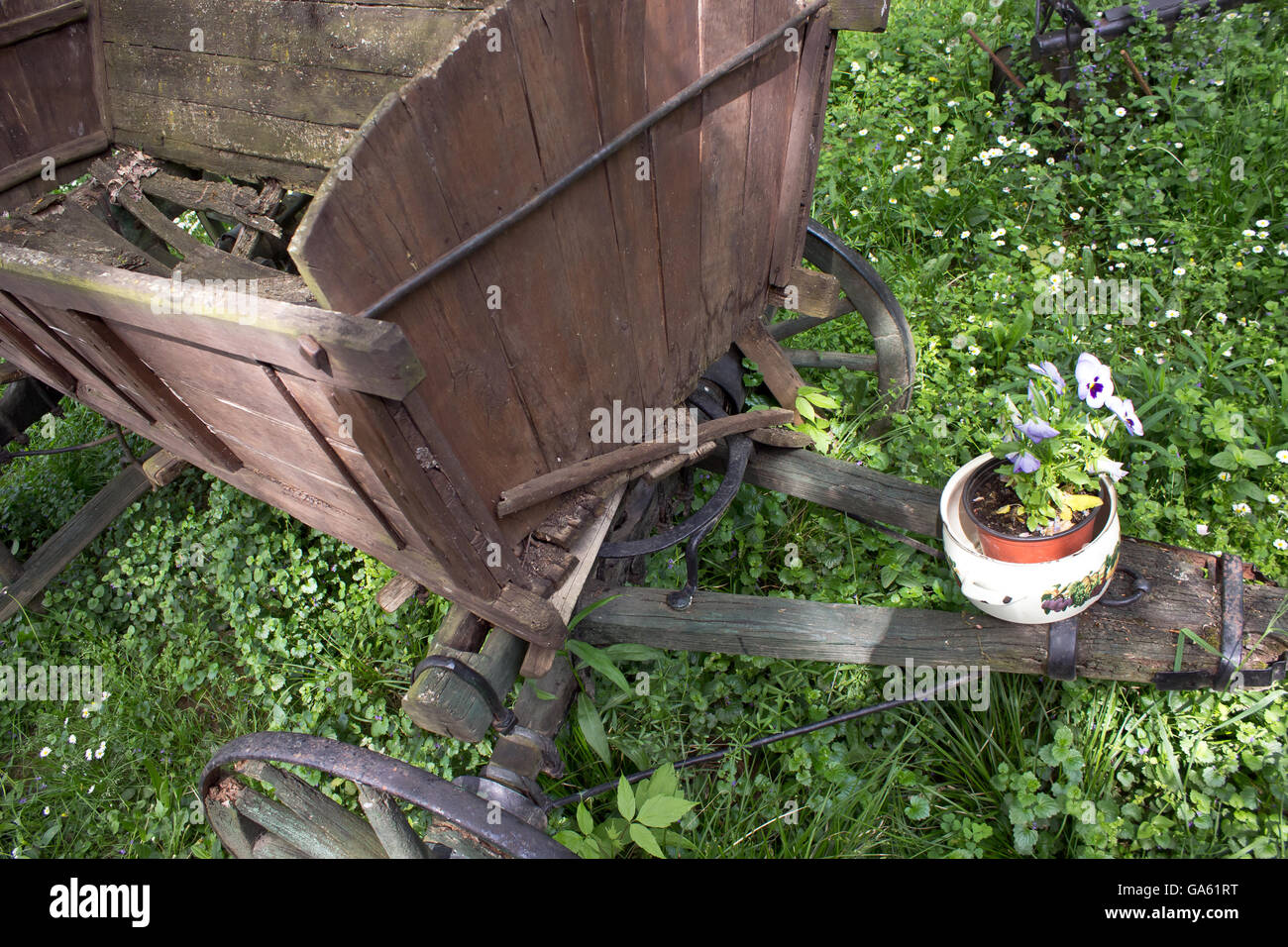 Alte Pferdekutsche Wagen Trainer auf Wiese mit Blumen im Topf Stockfoto