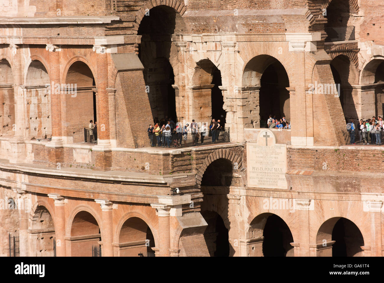Das Kolosseum betrachtet von der Palatino. Stockfoto