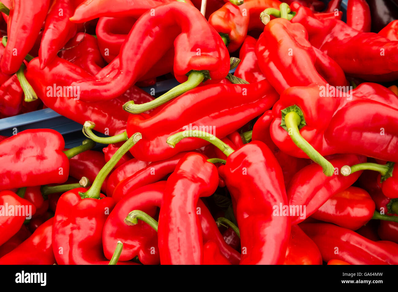 Detail der Paprika am Marktstand Stockfoto