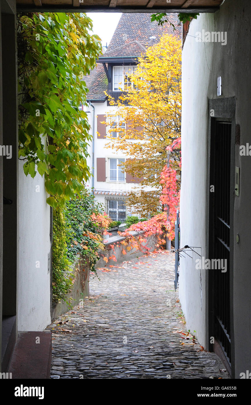 Herbst in Basel downtowm Stockfoto