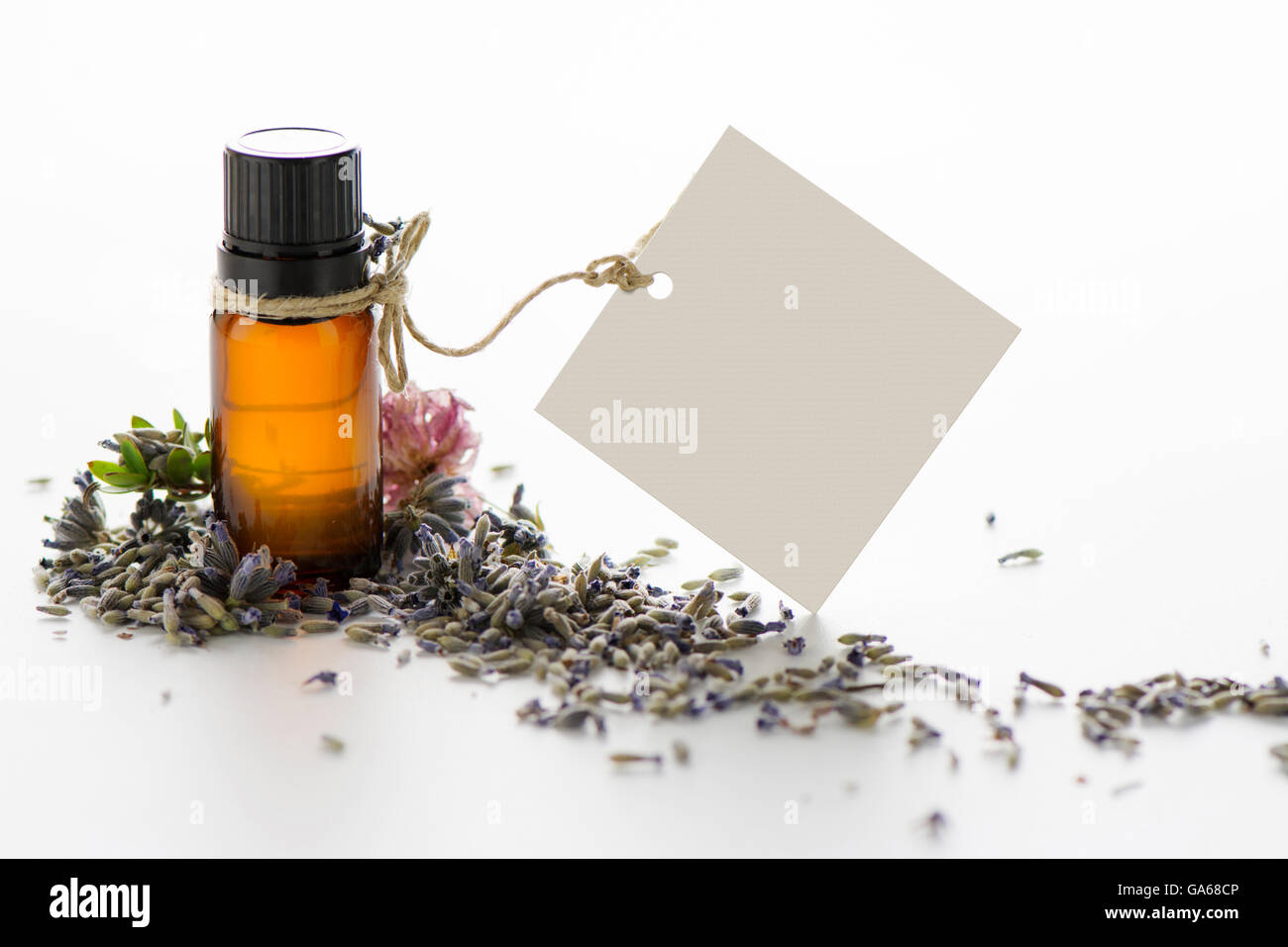 Ätherisches Öl, leere Tag und Lavendel Blumen auf isolierte Hintergrund Stockfoto