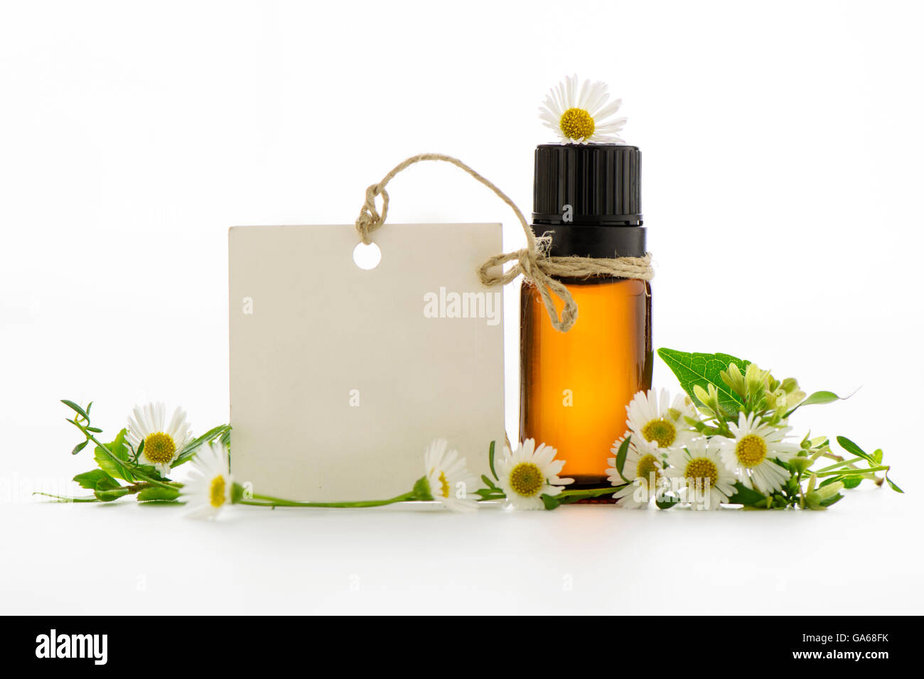 Ätherisches Öl, leere Tags und Kamille Blumen Stockfoto