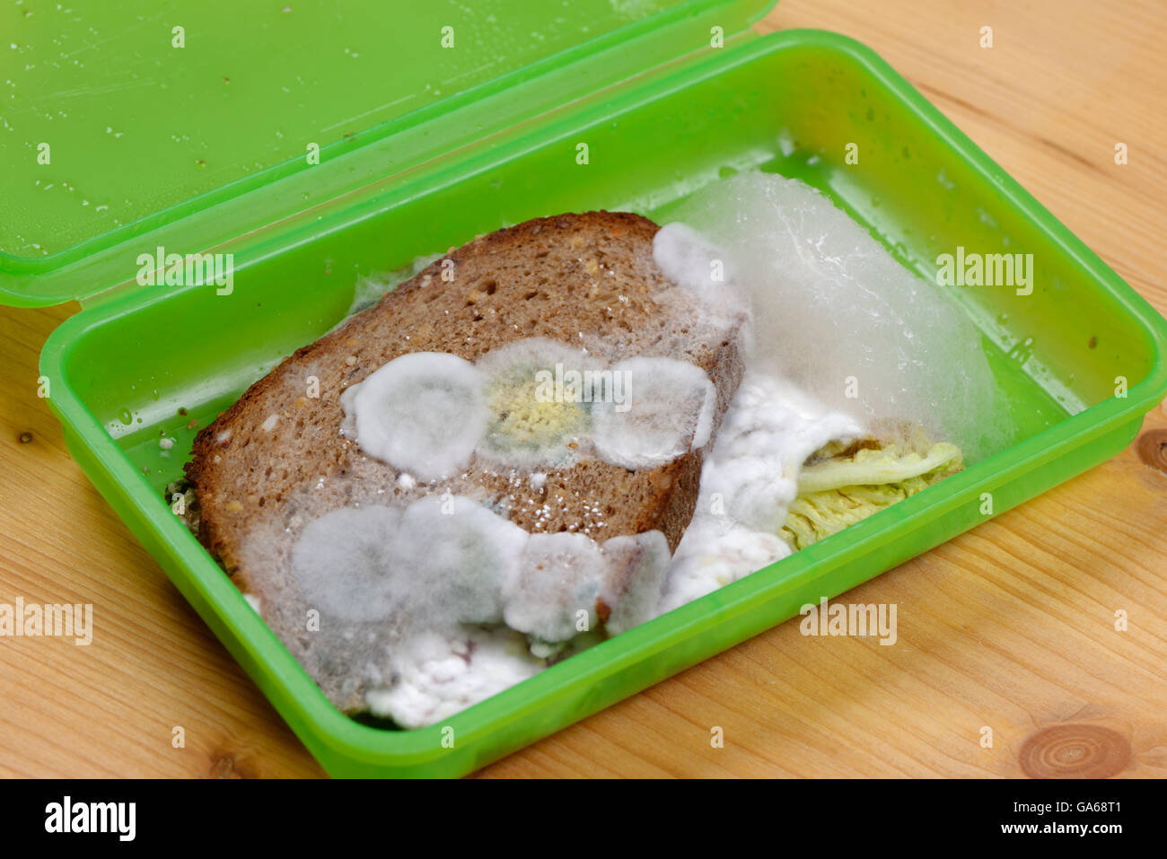 Verschimmelte Brot in Lunchbox, Schimmel an Lebensmittel, Upper Bavaria, Bavaria, Germany Stockfoto