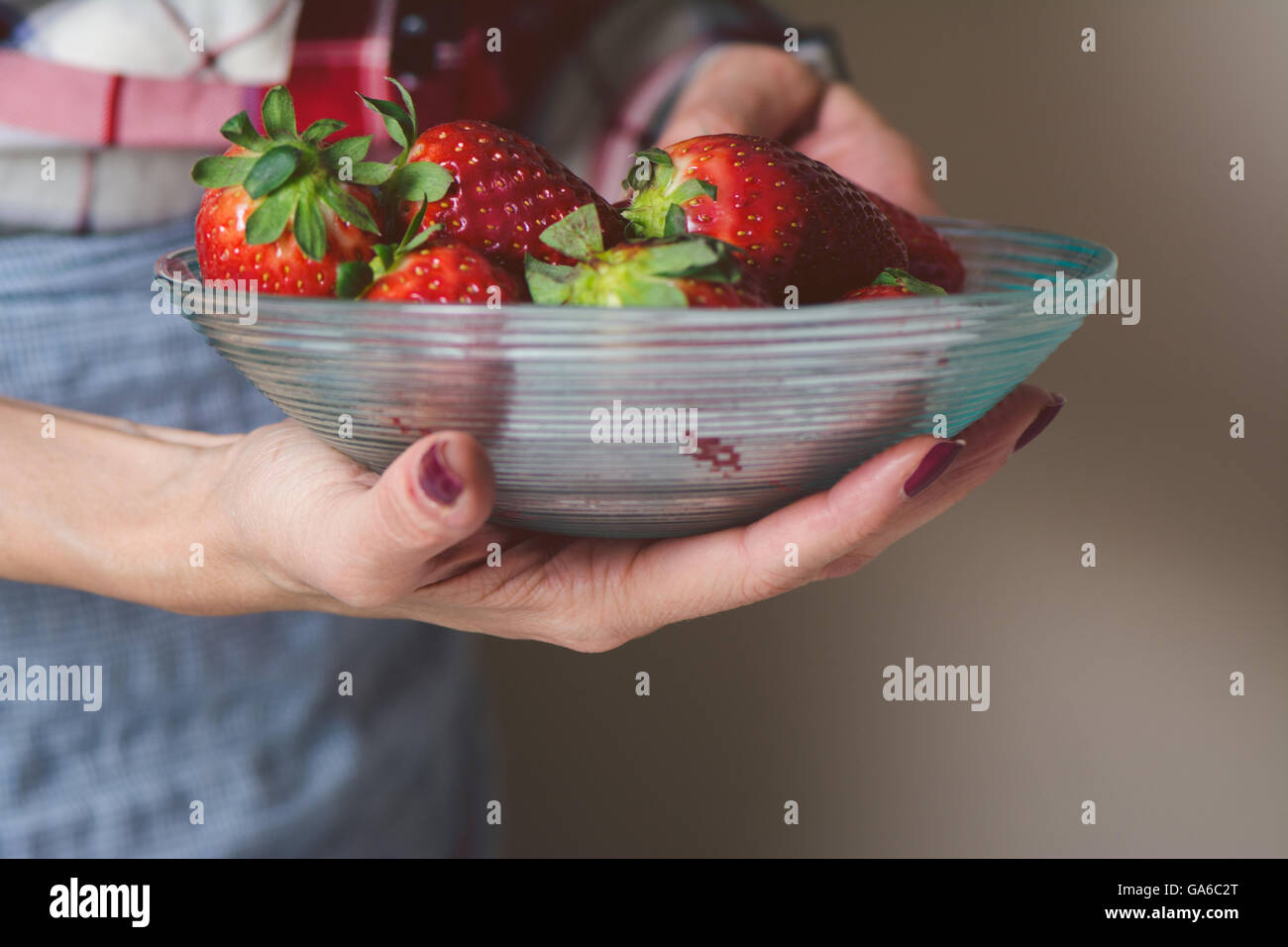 Schale mit Erdbeeren in den Händen einer Frau mit Schürze Stockfoto