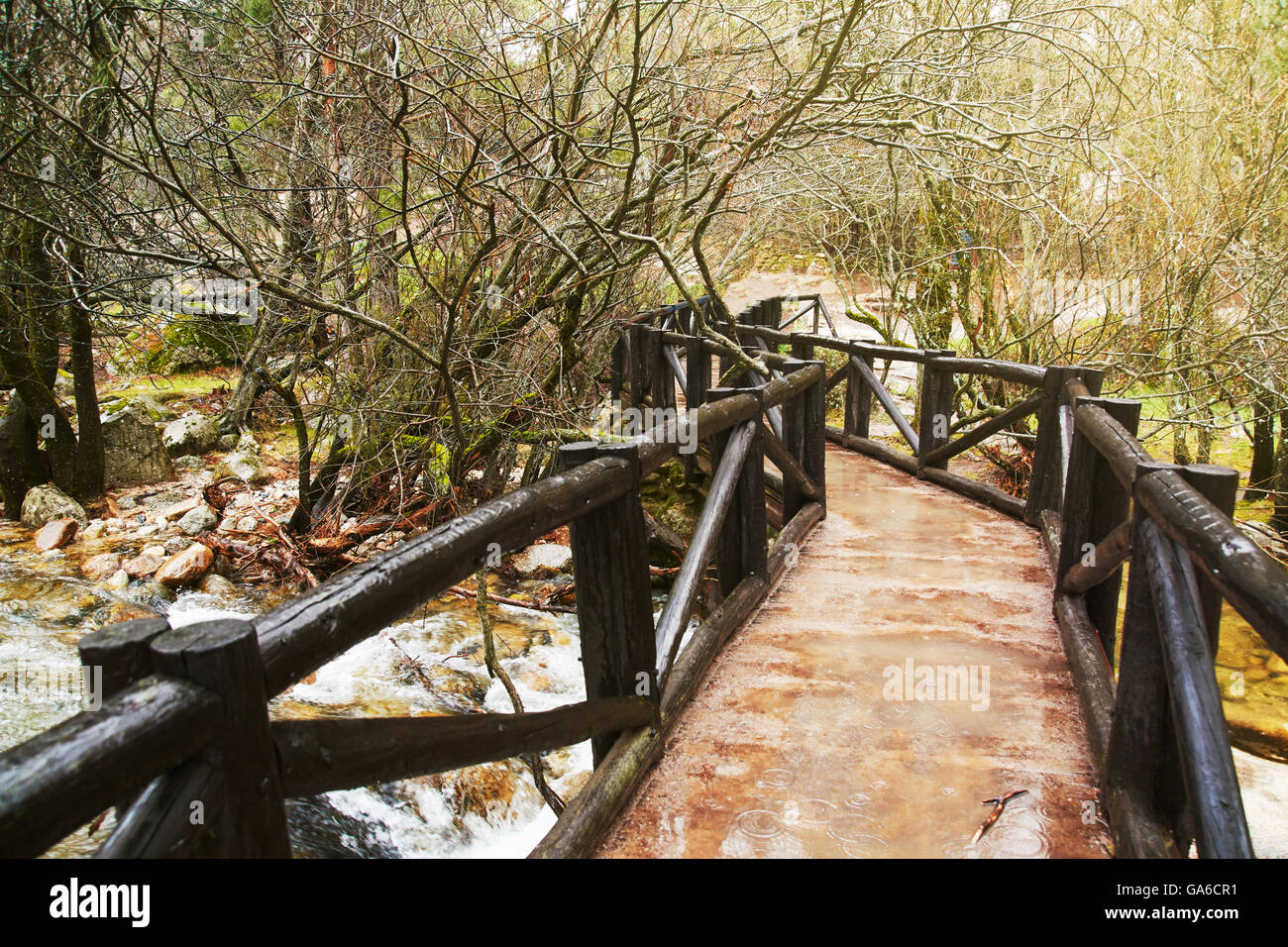 hölzerne Brücke über den Fluss auf bewaldeten Berg Stockfoto