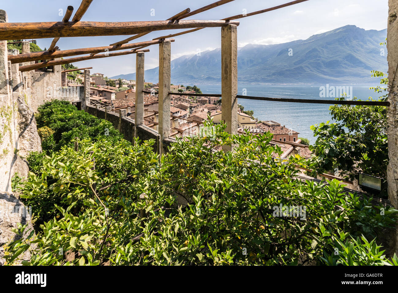 Alten Limonaia in Limone Sul Garda, Gardasee, Italien. Stockfoto