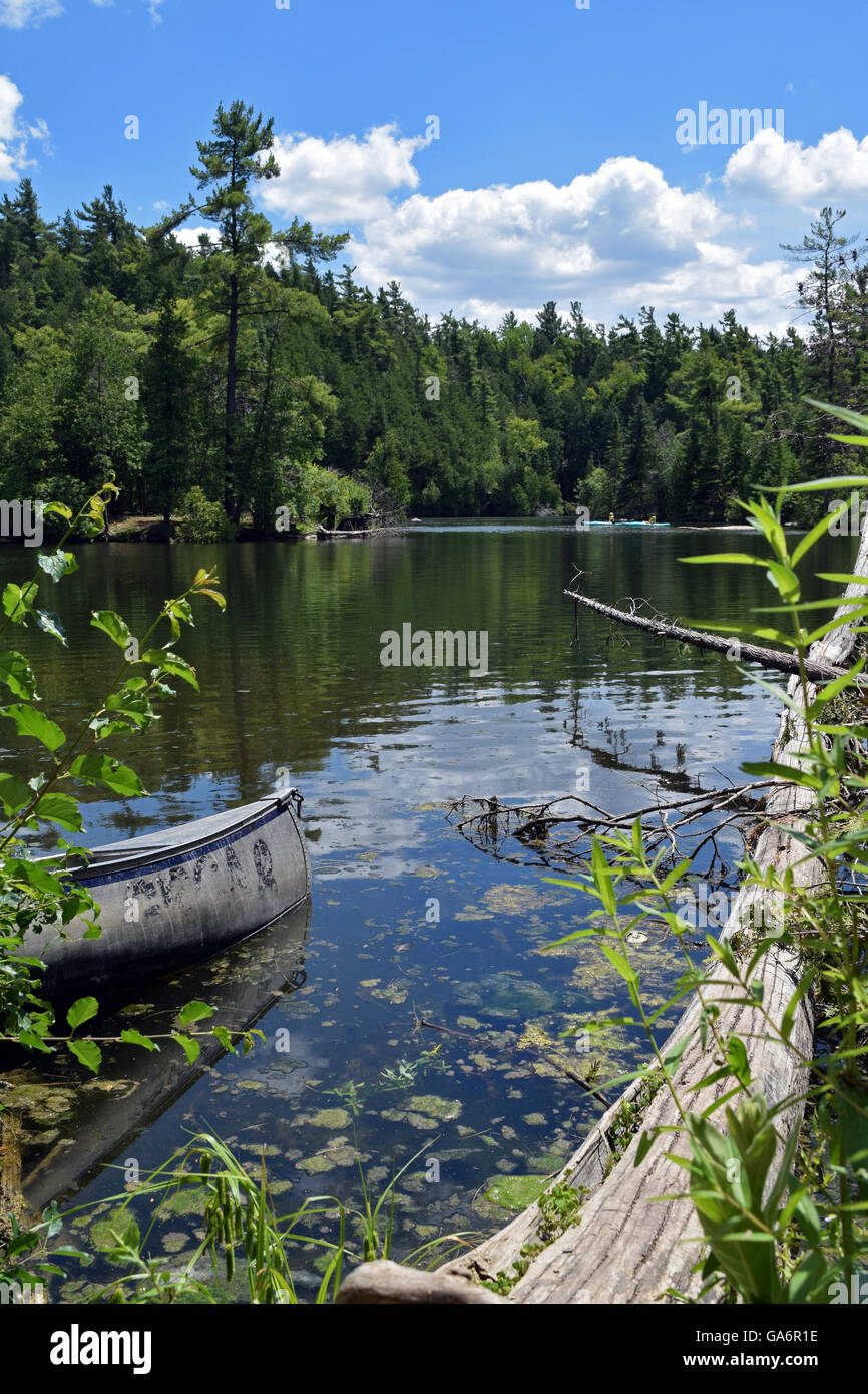 Alten Kanu auf einem See umgeben von einem Protokoll und Pflanzen Stockfoto