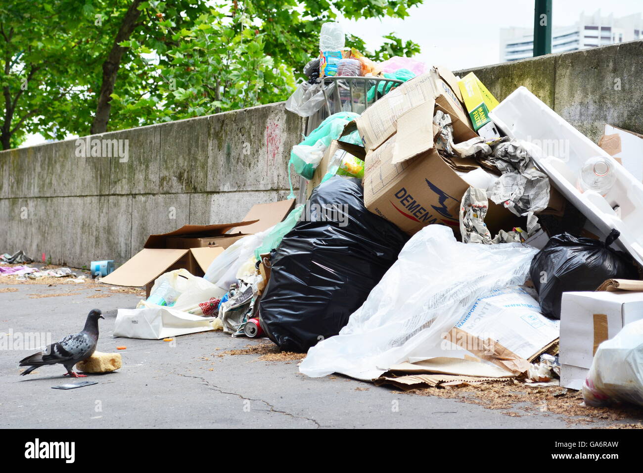 Taube bewacht ein Stück Brot neben Müllsack und einen Haufen Müll auf der Straße Stockfoto
