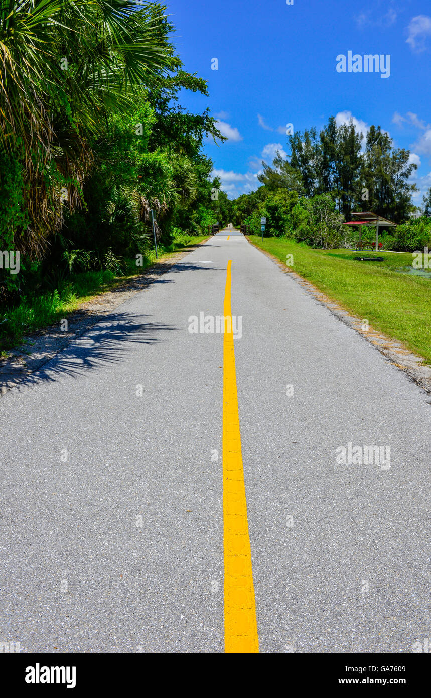 Florida Palmen säumen die Erbe-Spur-Radweg mit gelben Streifen leer Weg in der Nähe der Innenstadt von Venedig Zugdepot Stockfoto