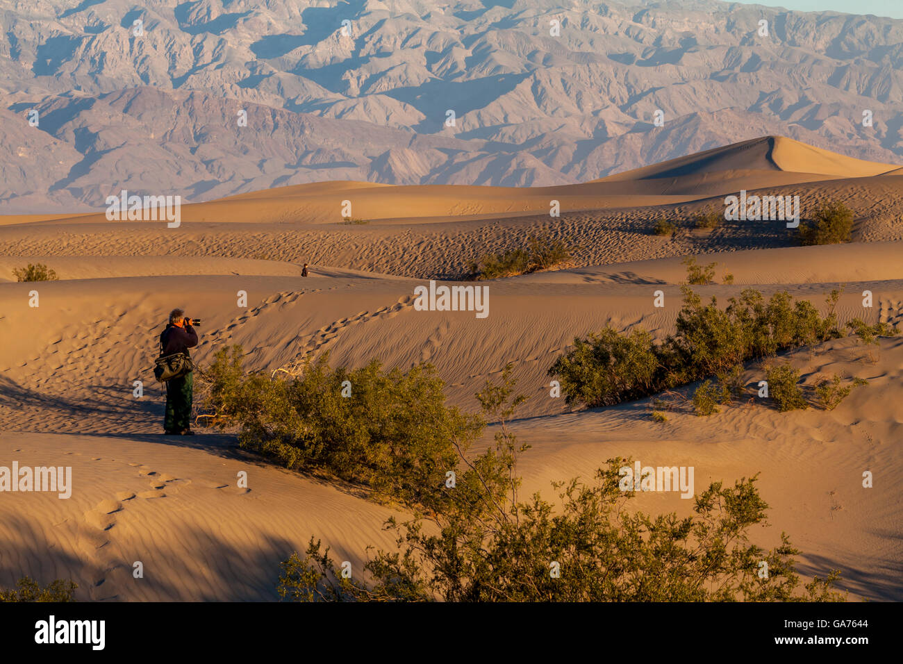 Fotografen, die Bilder von den Mesquite Sand Dunes in Death Valley Nationalpark, Kalifornien, USA Stockfoto