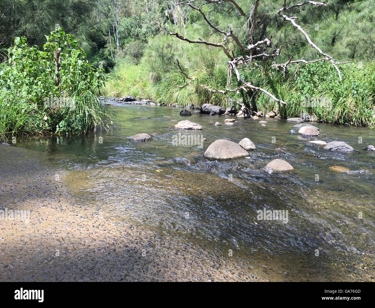 Creek am Straßenrand Stockfoto