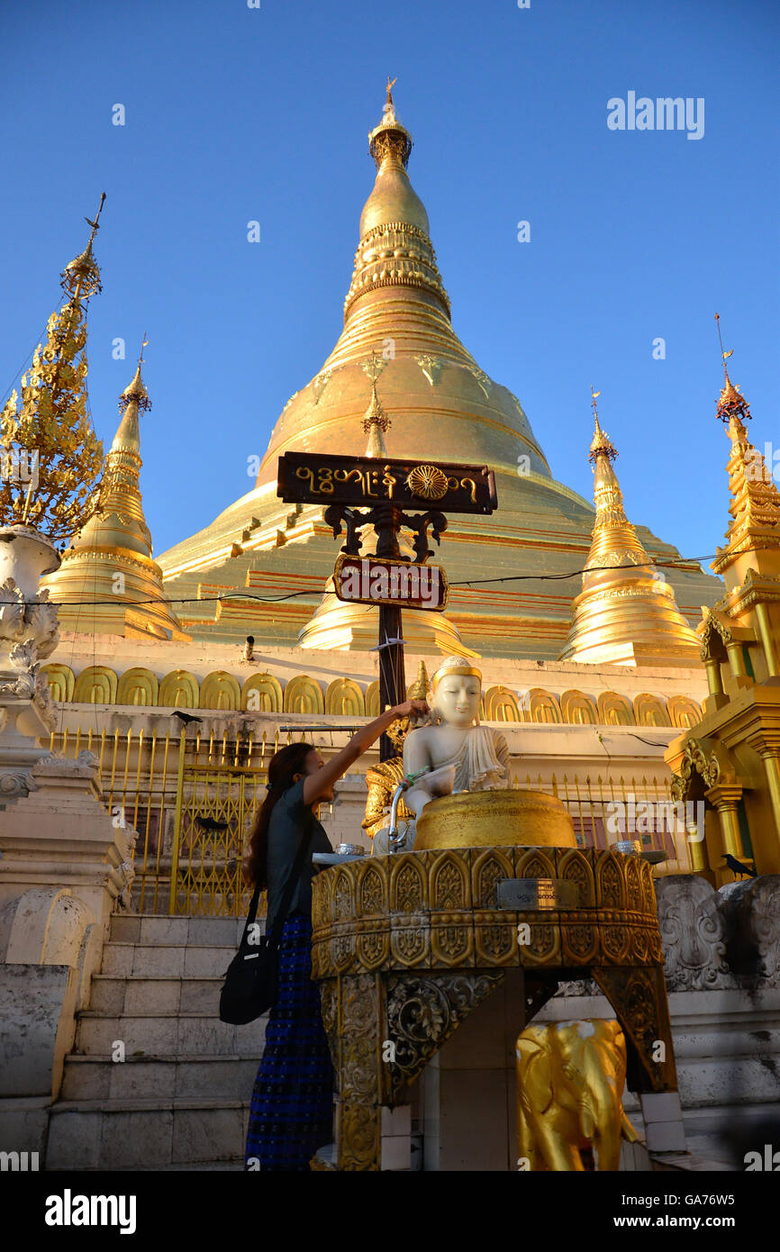 Eine Frau gießt Weihwasser über eine vergoldete Buddha-Statue Stockfoto