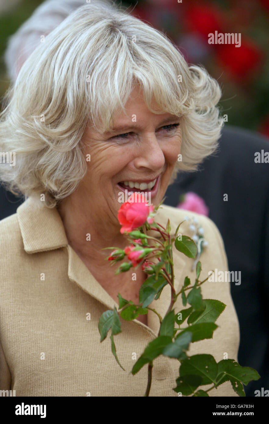 AP- UND AFP-AUSGANG. Die Herzogin von Cornwall trotzt den stürmischen Bedingungen, als sie die Sandringham Flower Show auf dem Sandringham Estate in Norfolk tourt. Stockfoto