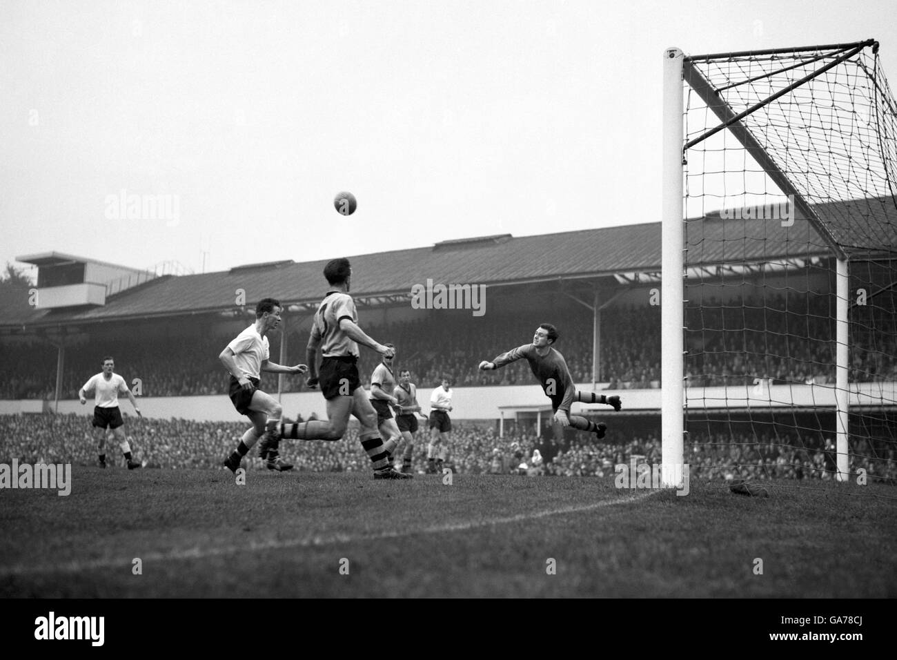 Wolverhampton V Tottenham Hotspur - Englische League Division One - Molineux Stockfoto