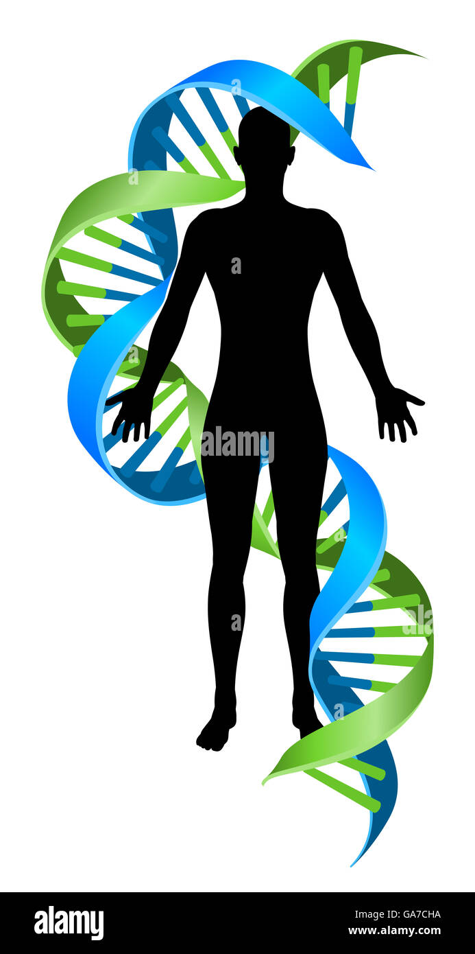 Eine schematische Darstellung einer menschlichen Person Figur Silhouette mit einem Doppel-Helix DNA Genetics Chromosom Strang Stockfoto