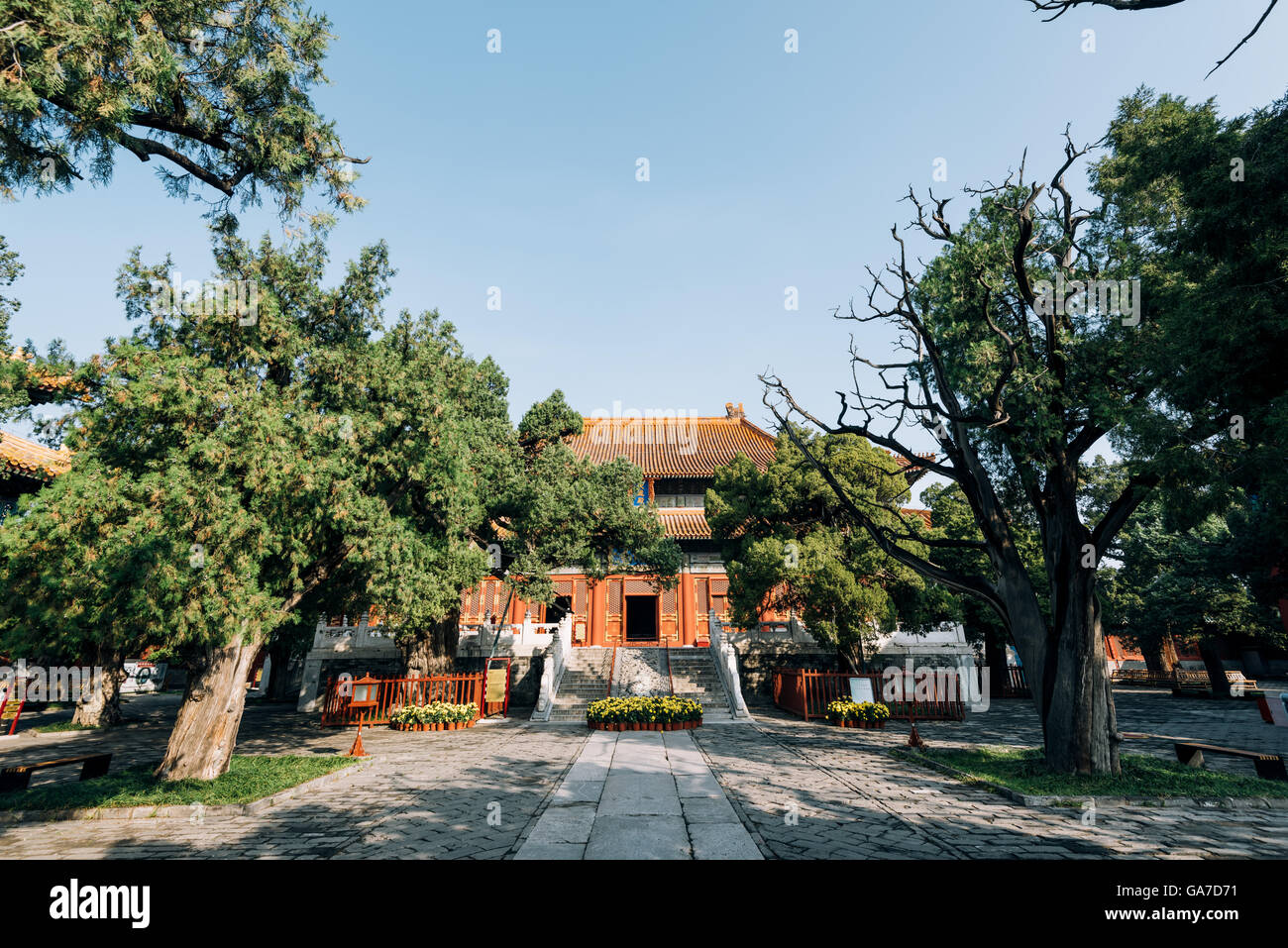 Peking, China - 23. Oktober 2015: der Tempel des Konfuzius in Peking ist der zweitgrößte Konfuzius-Tempel in China Stockfoto