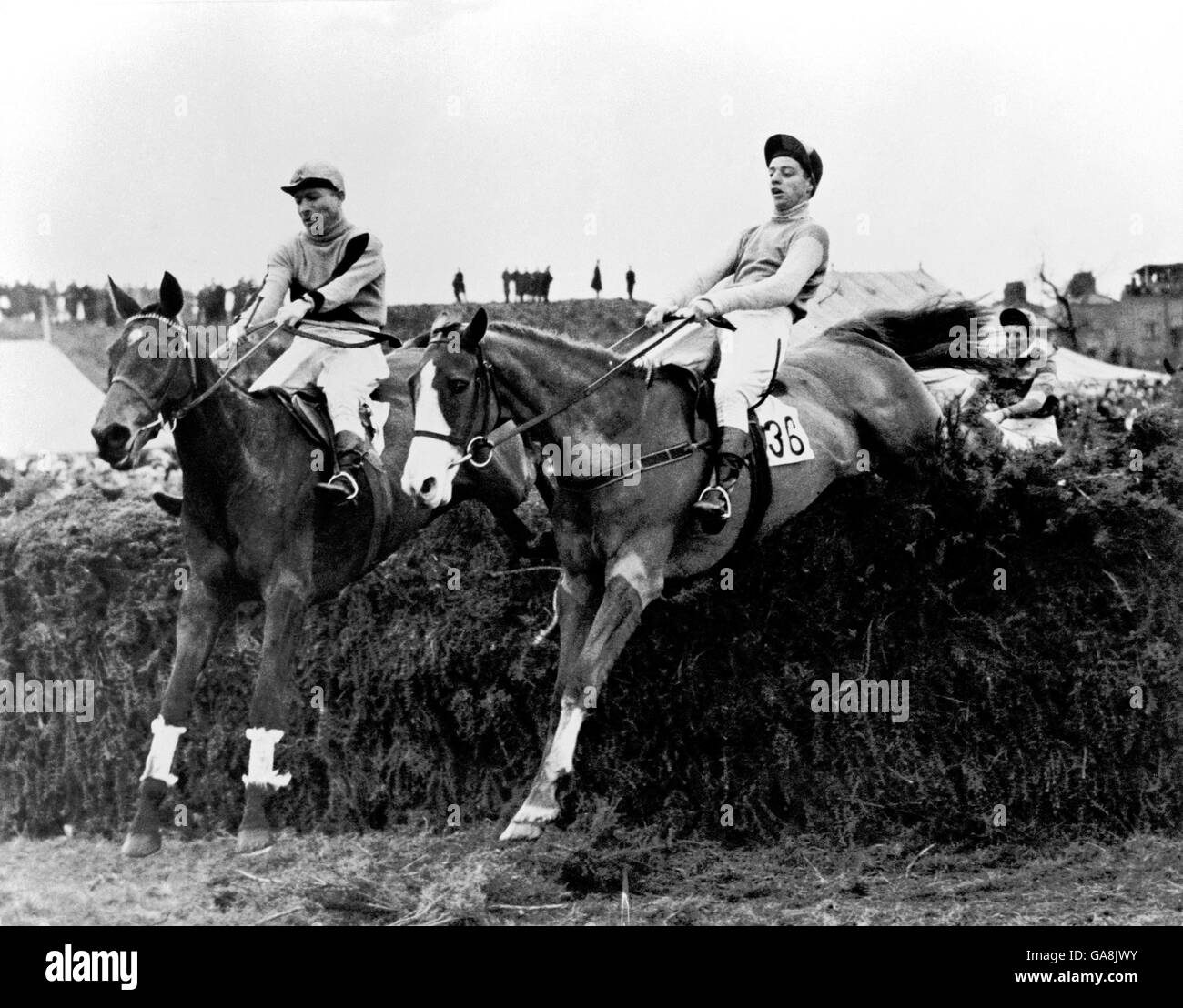 (L-R) der spätere Gewinner Nickel Coin, mit Johnny Bullock Up und Gay Heather, mit R Curran Up, nehmen den 17. Zaun zusammen Stockfoto