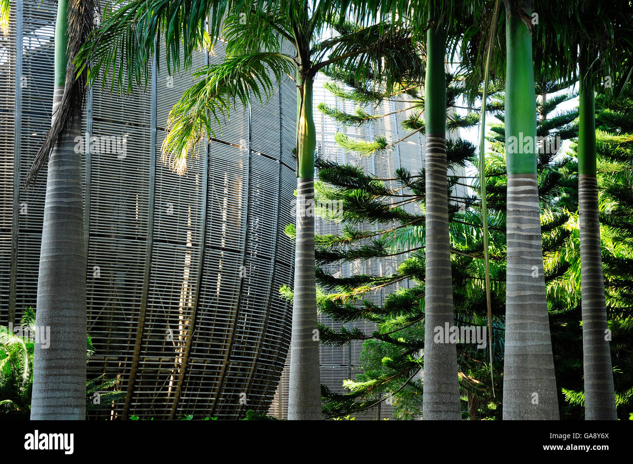 Tjibaou Kulturzentrum von Renzo Piano entworfen. Das Gebäude ist so konzipiert, dass es mit den umliegenden Wald integriert werden. Noumea, Neukaledonien, September 2008. Stockfoto