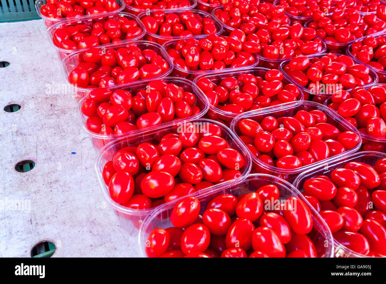 Tomaten, Tomaten, Kunststoffboxen, Farmers Market Stockfoto