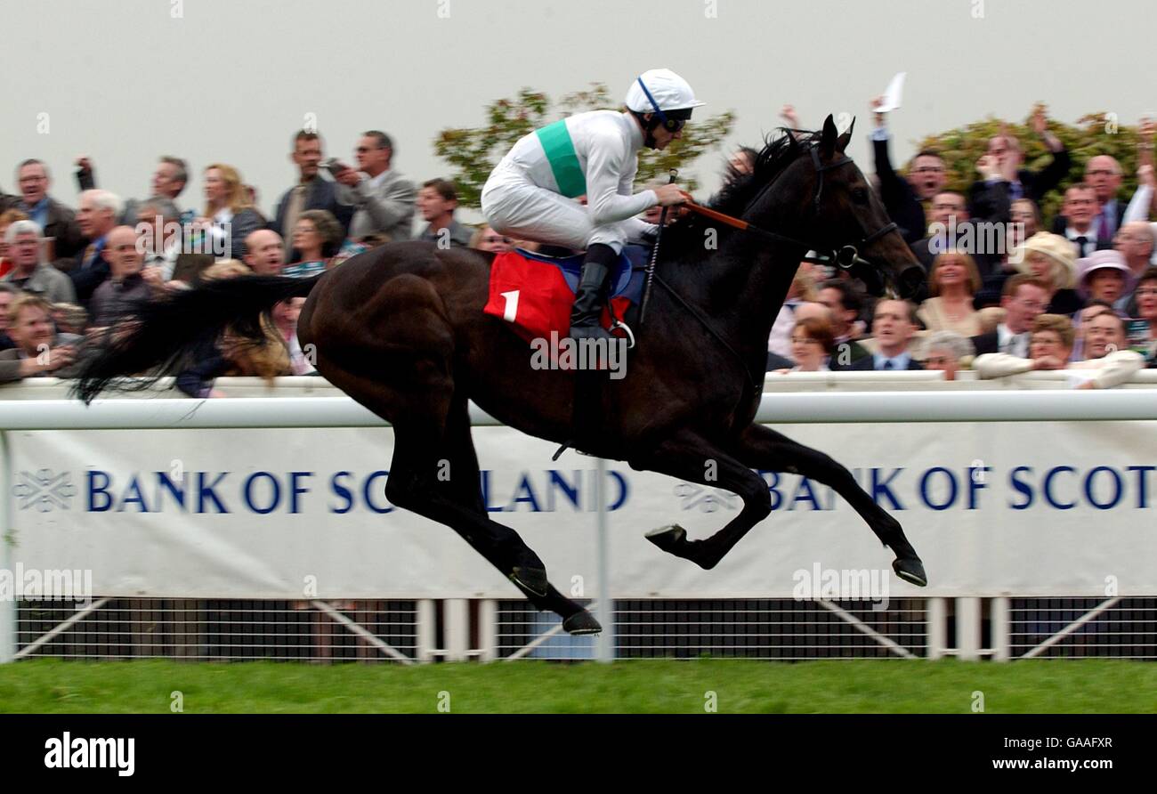 Pferderennen - Chester Stockfoto