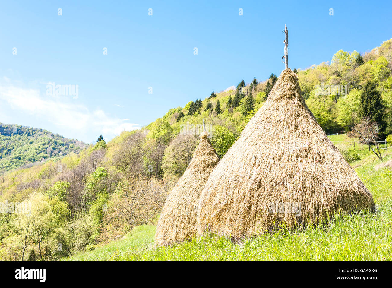 Landschaft im ländlichen Raum. Traditionellen Heuhaufen der Bergdörfer in den italienischen Alpen. Stockfoto