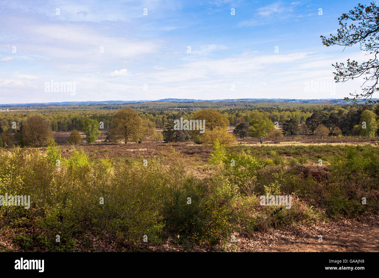 Deutschland, Troisdorf, Nordrhein-Westfalen, Wahner Heath, Blick von der Telegraphen-Berg im Osten. Stockfoto