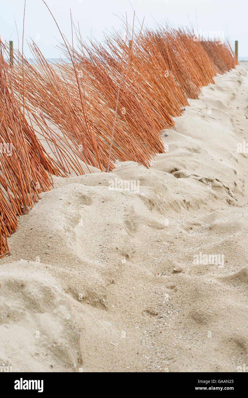 Sands Catchers am Strand für die Renaturierung der Düne. Baskisches Land. Stockfoto