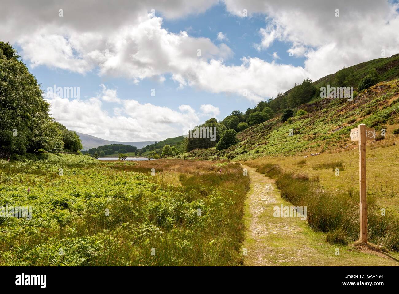 Walisische Wanderweg-Wegweiser Stockfoto