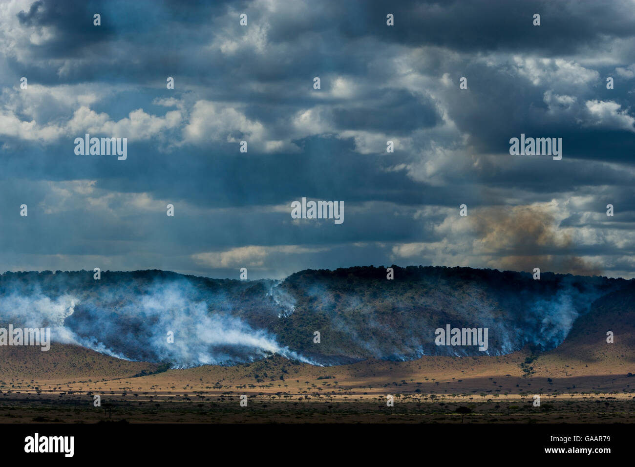 Buschfeuer in der trockenen Jahreszeit an der Isuria Böschung, Masai Mara Game Reserve, Kenia. Oktober 2007. Stockfoto