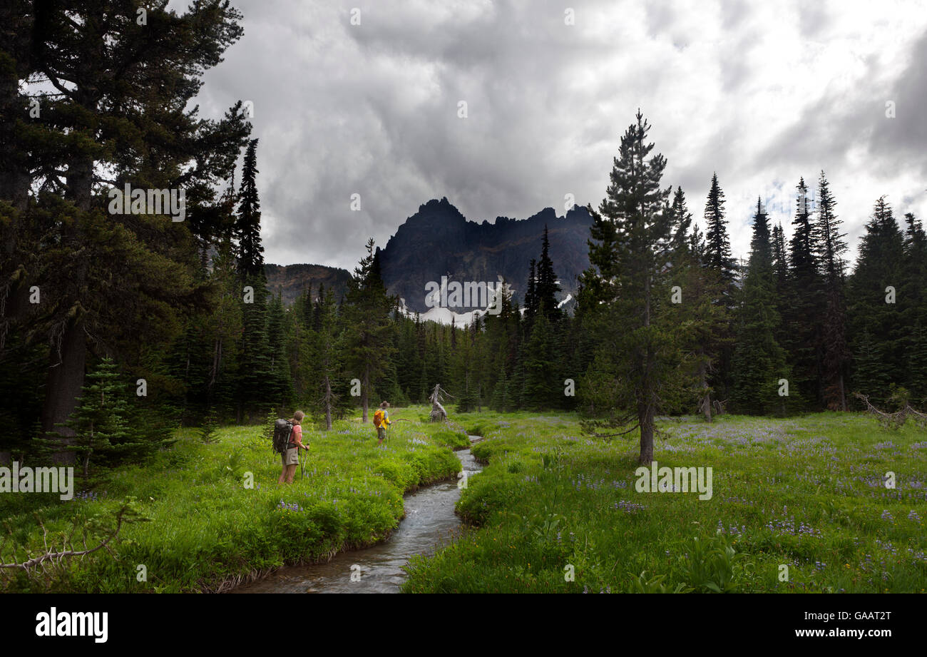 Wanderer auf dem Weg zu drei Fingered Jack, Mount Jefferson Wüste, Duschutes National Forest. Oregon, USA, Juli 2014. Model Released. Stockfoto Wanderer auf dem Weg zu drei Fingered Jack, Mount Jefferson Wüste, Duschutes National Forest. Oregon, USA, Juli 2014. Model Released. Stockfoto
