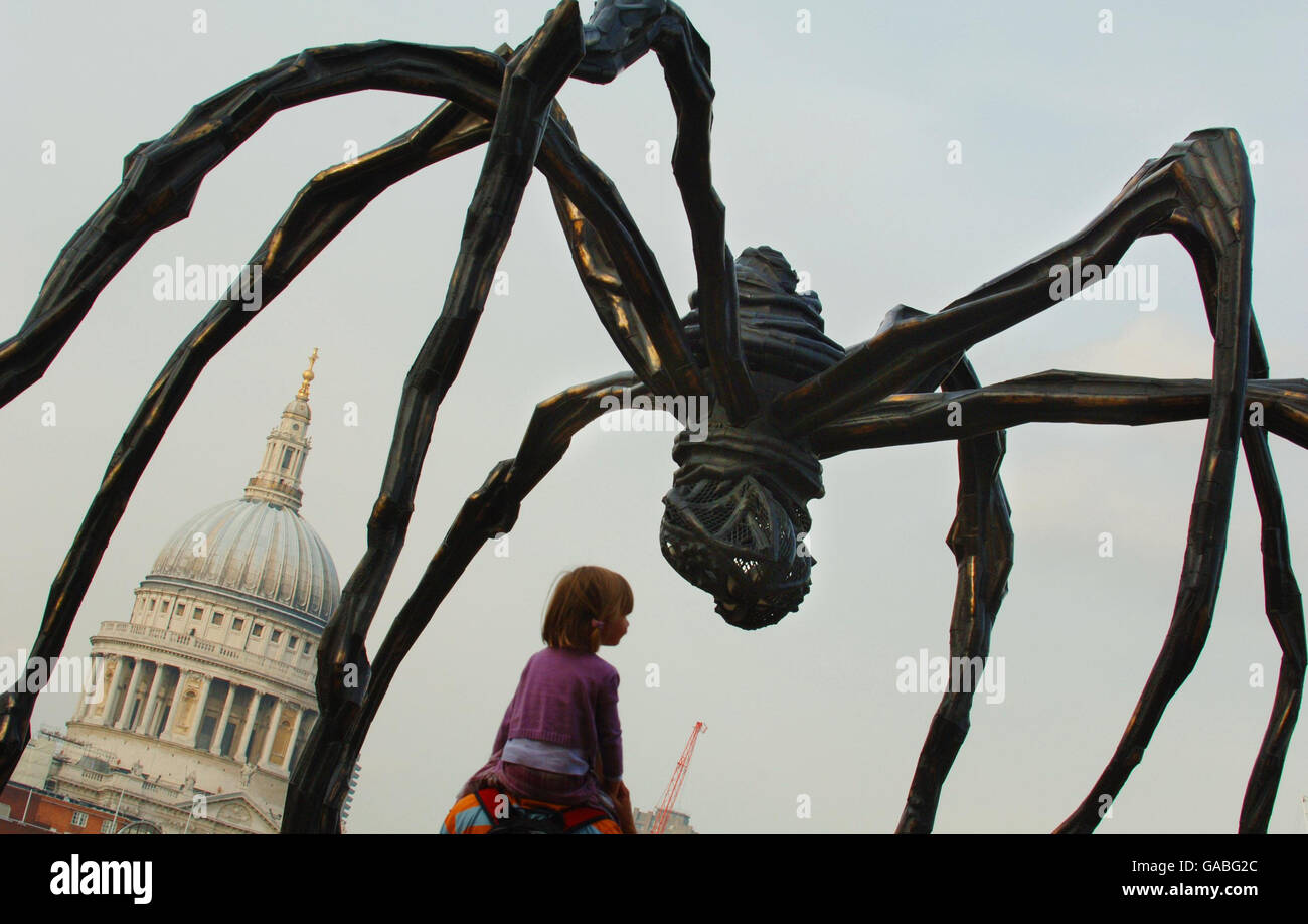 Riesenspinne in der Tate Stockfoto