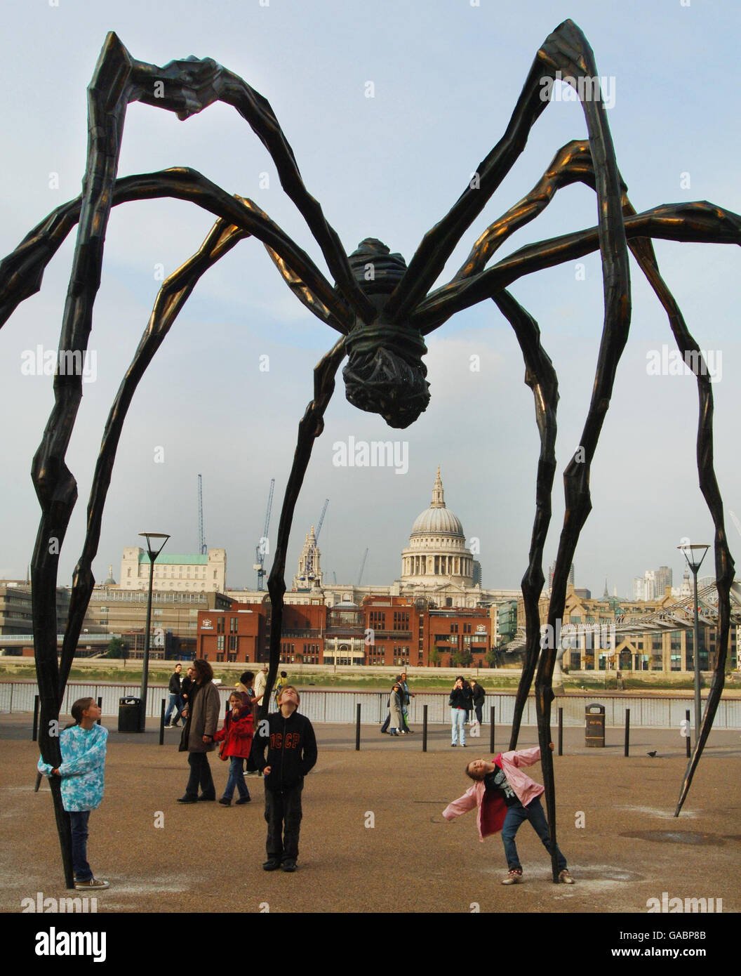 Riesenspinne in der Tate Stockfoto