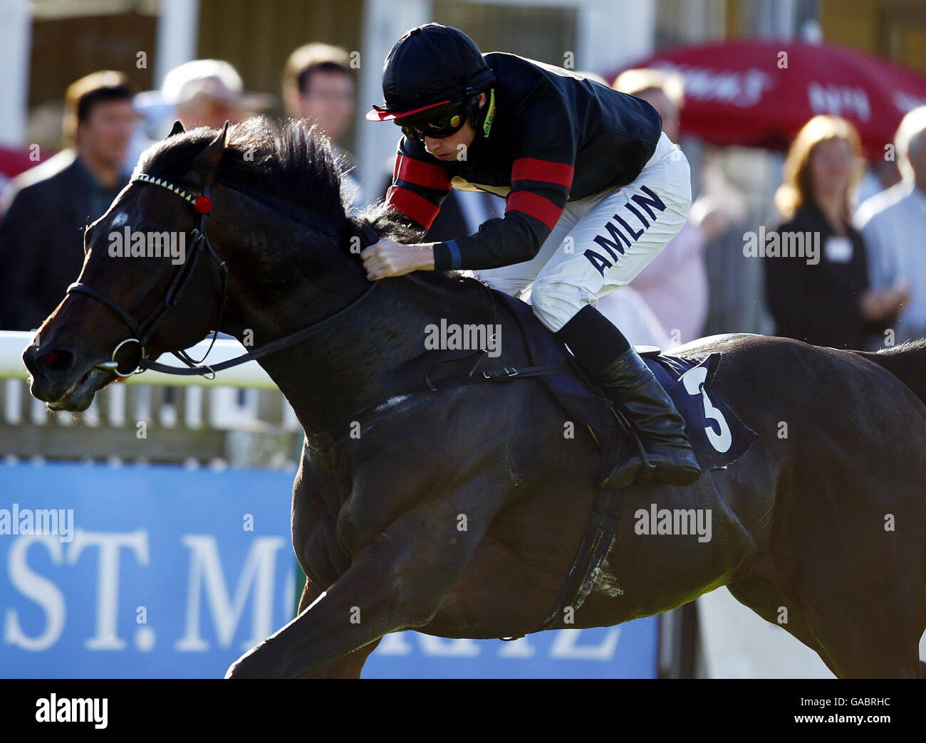 Pferderennen Sie-Newmarket Racecourse Stockfoto