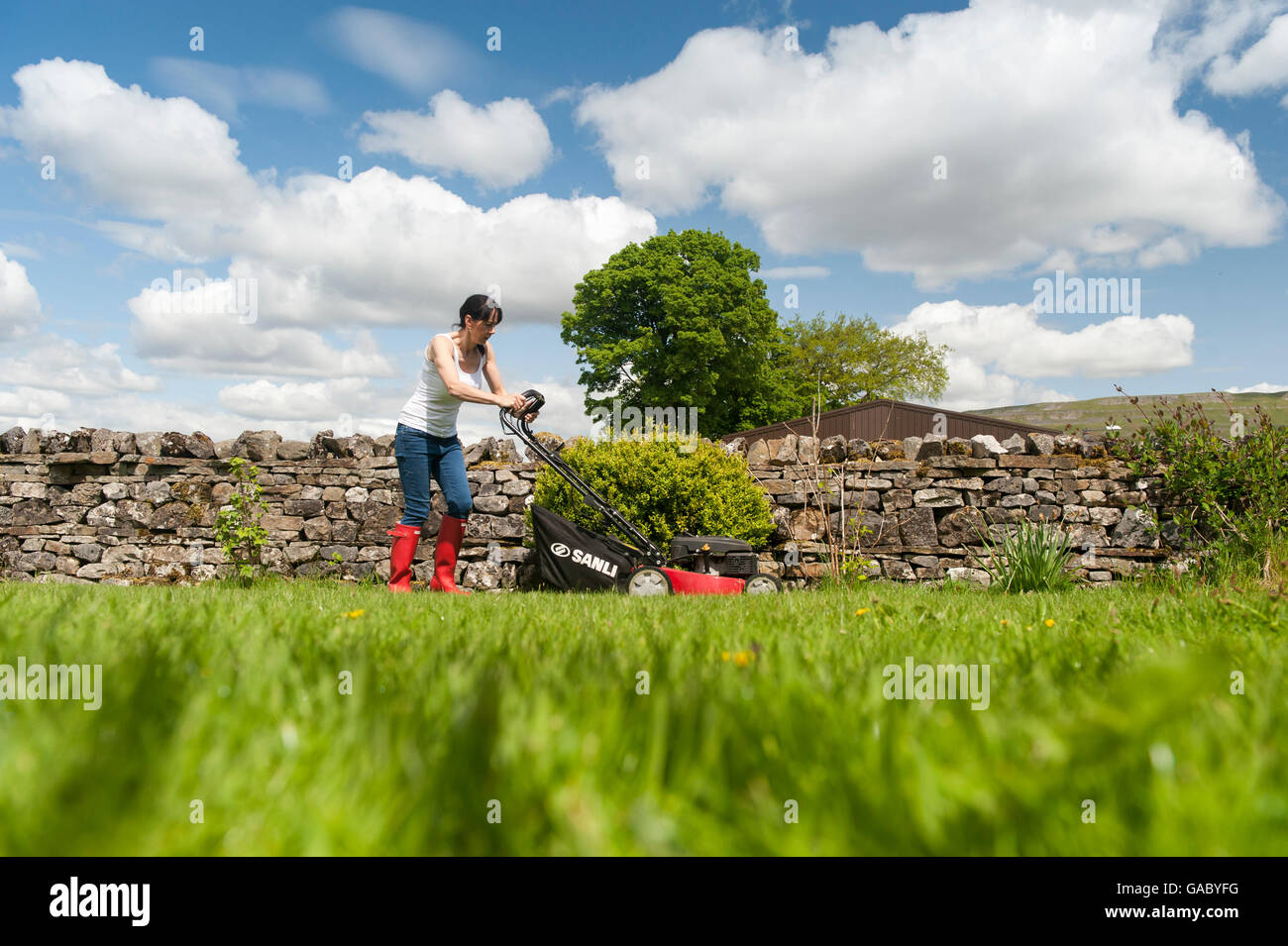 Lady Mähen Wiese im Garten mit Benzin betriebene Rasenmäher. Hawes, North Yorkshire, UK. Stockfoto