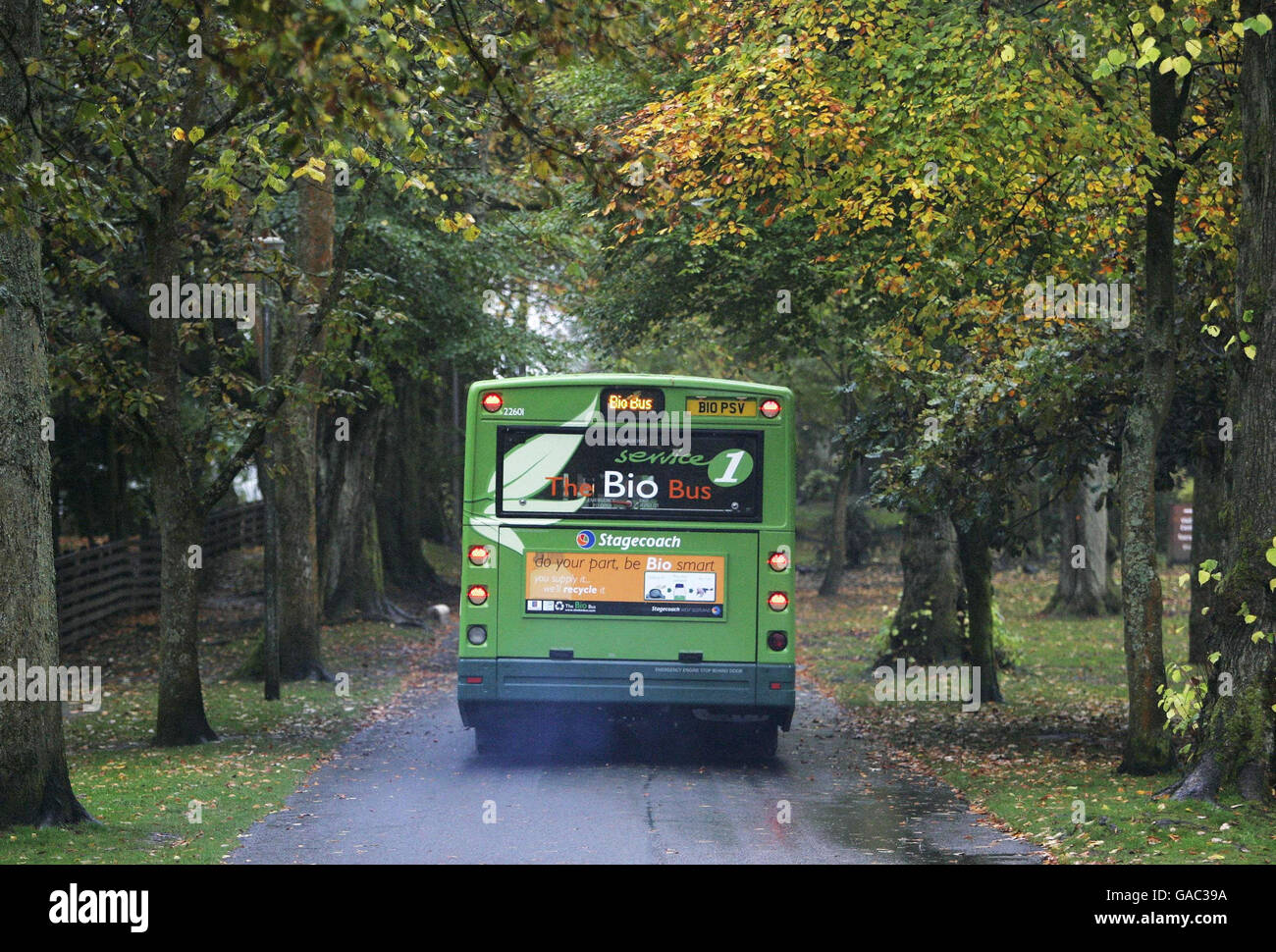 Großbritanniens erste Bio-Busse Stockfoto